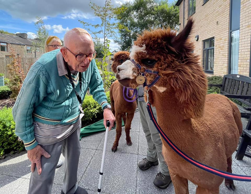 Resident enjoys a visit from alpacas